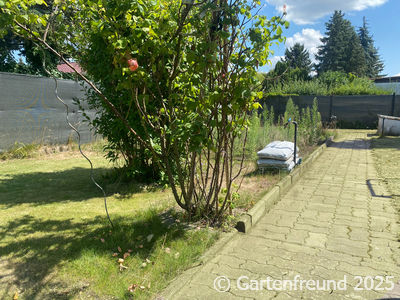 Garten Impression 6